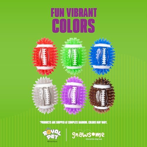 Gnawsome Dog Toys - 3.5" Spiky Squeak & Light Football - Small - Dental & Gum Wellness - Stimulating Fun - Hidden Squeaker - Durable for Heavy Chewers - 100% BPA-Free - Assorted Colors
