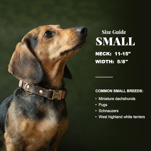 Personalized PU Leather Dog Collars, Quick Release Buckle, Pink,S