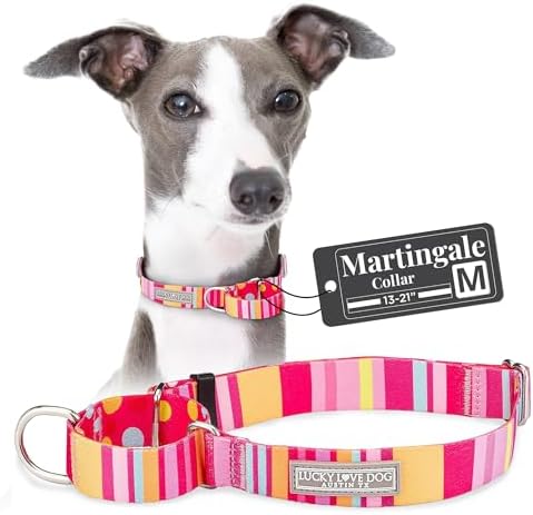 Lucky Love Dog Martingale Collar for Medium Dogs No Slip – Molly, Medium