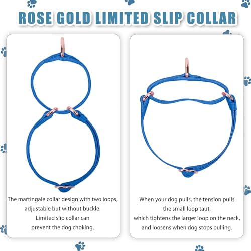 Soft Leather Martingale Dog Collar - Adjustable Rose Gold Limited Slip Collars [Easy to Clean], Stylish Durable Heavy Duty Nylon No Pull Training Collar for Small Medium Large Dogs XS Dark Blue