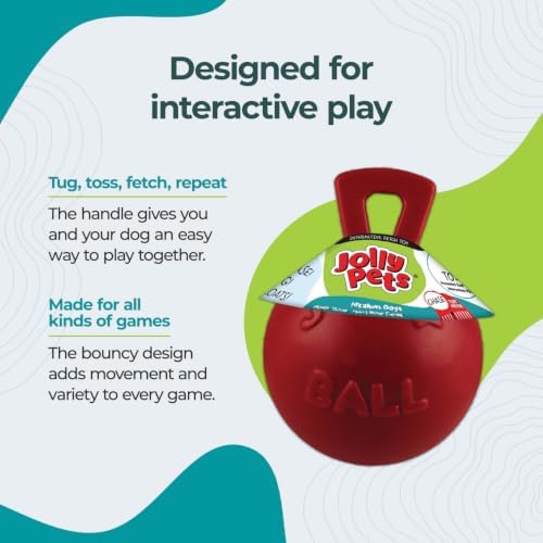 Jolly Pets Tug-n-Toss Heavy Duty Dog Toy Ball with Handle, 8 Inches/Large, Red (408 RD)