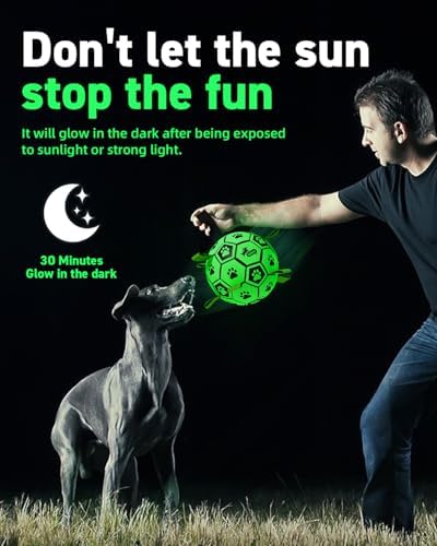 QDAN Glow in The Dark Dog Balls, Soccer Balls for Dogs with Straps, 8 Inch