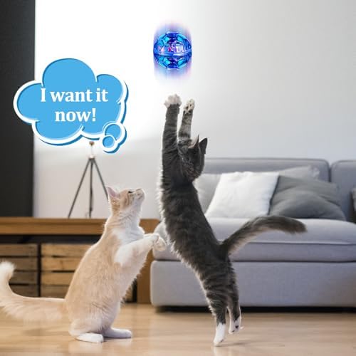 Sratte 2 Pcs Rechargeable Light up Cat Ball Ghost Hunting, Blue