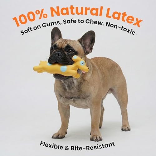 Squeaky Dog Toys [2-Pack], Natural Latex Interactive Squawking Toy for Small Medium Dogs, Durable Bite-Resistant Puppy Chew Toys for Boredom & Teething