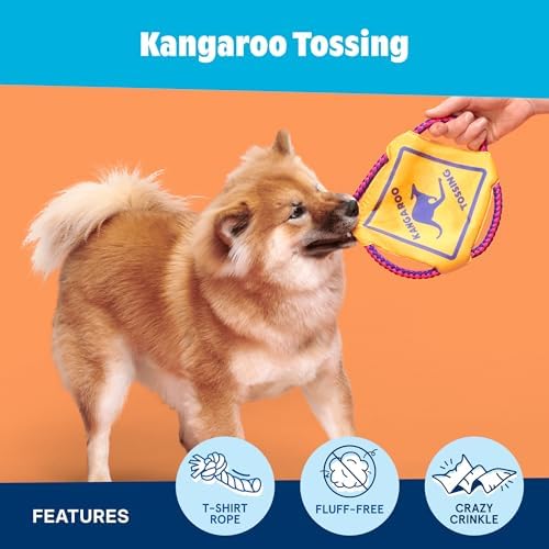 BarkBox Kangaroo Tossing Flying Disc Dog Toy - for Dogs
