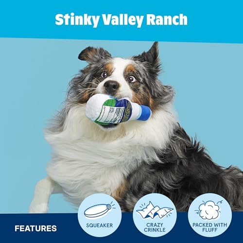 BarkBox Stinky Valley Ranch Dog Toy - Toy for Small to Medium Dogs