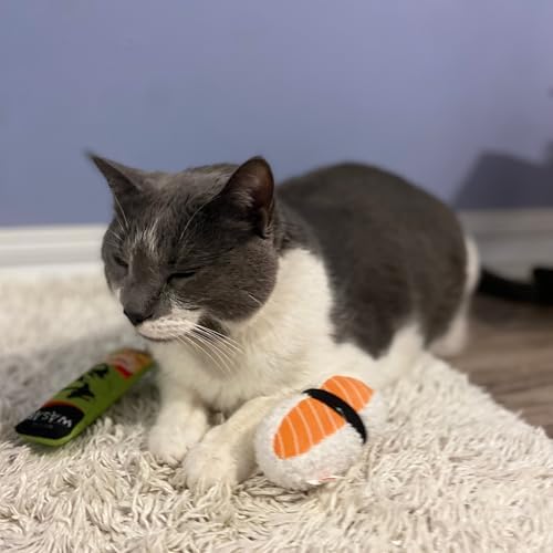 SPOT Sushi Take-Out- Cat Plush Toys with Catnip & Silverine Blend, Cute and Funny Toys for Indoor Cats & Kittens, Perfect for Batting and Chasing - 4 inch, Assorted 2-Pack, Styles May Vary
