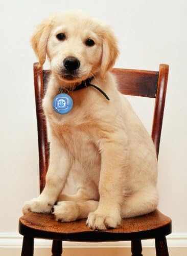 Mattel Puppy Tweets Blue