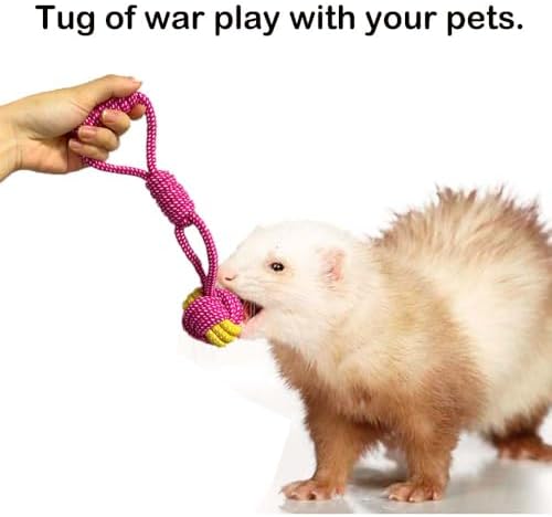 6 Pack Ferret Chew Toys Ferret Bell Balls Squeaker Toys Squeak Toy Teething Pet Toy Durable Knotted Tug of war Cotton Chew Toys Exercise Scratch Toy Interactive Cat Dog Rope Toy Set Small Animals