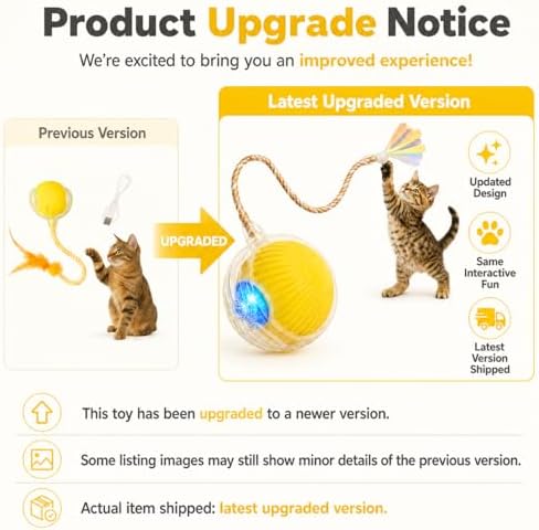 Interactive Cat Toy Ball with LED Lights – USB-C Rechargeable Automatic Cat Toy with Feather Tail for Indoor Cats & Kittens, Upgraded Version