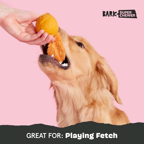 BarkBox Franz The Fox Dog Toy