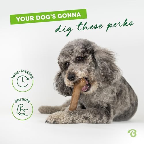 Benebone Bone Dog Chew Toy for Aggressive Chewers, Real Bacon, Medium