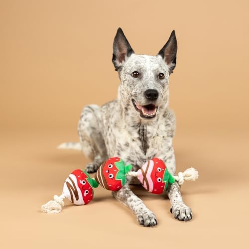Fringe Studio Plush Dog Toy with Rope, Covered with Love, Petshop Collection (314495)