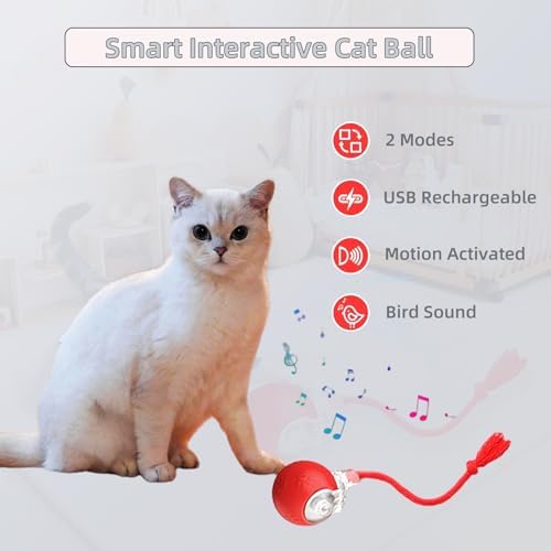 Smart Cat Ball Toy, Interactive & Rechargeable for Daily Play | cat toy automatic|cat rope toy|moving cat toys for indoor cats|toys for cats to keep them busy