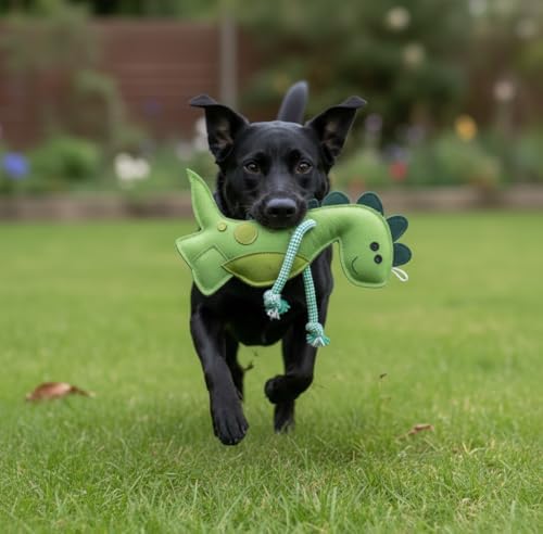 Fuzzl Eco Leather Digby Dino Toy Natural and Tough Dinosaur Dog Toys - Long Lasting Chew Toys for Aggressive Chewers Strong Dog Toy for Dogs and Puppy