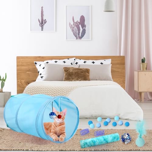Foilswirl 24 Pcs Cat Toys Set Interactive Kitten Toys Pack, Blue