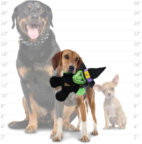 MIGHTY® 2 Pack Microfiber Medium Witch Ultra Durable Plush Dog Toy