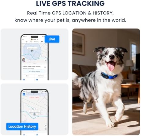 DBDD GPS Dog Tracker with Subscription,Virtual Fence&Health Monitor,IP67,BK