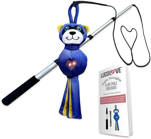 Flirt Pole for Dog Heavy Duty 35 Inch Teaser Wand with Raccoon Toy