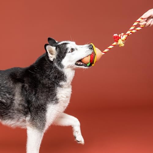Fringe Studio Plush Dog Toy with Rope, You’RE The BUN That I Want, Pet Shop Collection (314527)