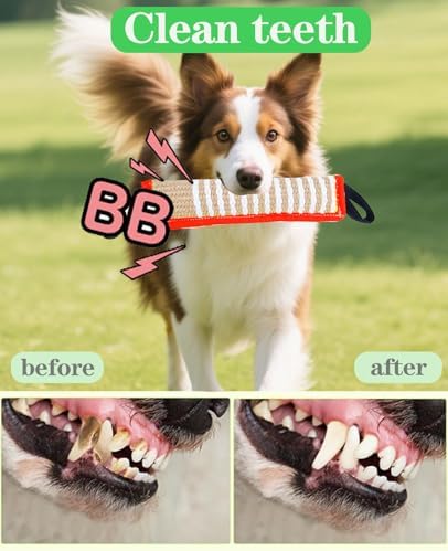 Clysoru Squeaky Tug Toy for Dogs Jute with 2 Strong Handles Lasting Training Equipment Puppy to Large Dog Interactive Toys of War Pull Indestructible Rope Pet Crinkle Teething