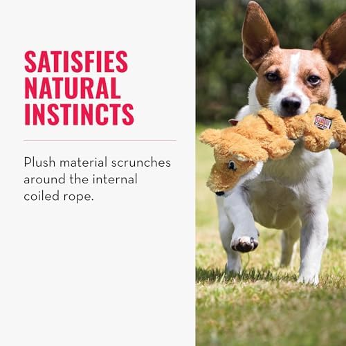 KONG Scrunch Knots (Squirrel, Medium/Large) Plush Dog Toy with Knotted Rope