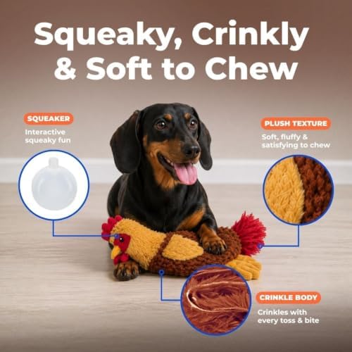 Best Pet Supplies Interactive Squeaky Dog Toy - Crinkle Chicken, Red | Stuffing Free Body, Soft, Squeaks & Crinkles, No Mess, Perfect for Moderate Chewers, Toss and Fetch Play