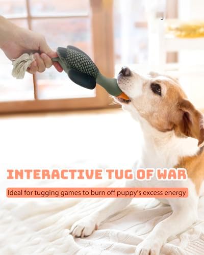 SCHITEC Squeaky Rope Dog Toys, Latex Rubber Squeak Duck Tug of War Toy, Interactive Play Puppy Stuffed Chew Toy for Small Medium Dogs