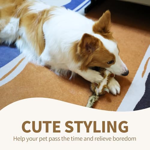 ALL FOR PAWS Squeaky Dog Toys, Plush Dog Toy, Stuffed Animal Dog Toys for Small Medium Large Dogs, Soft Chipmunk Toy with Squeaker