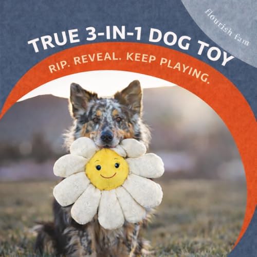 Flourish Pets 3 in 1 Multi-Layer Chew Toy for Active Dogs | Non-Toxic BPA Free Double Stitched Soft Fabric Exterior Dog Toys | Long-Lasting Dog Plush Toys - Large White Daisy 17"