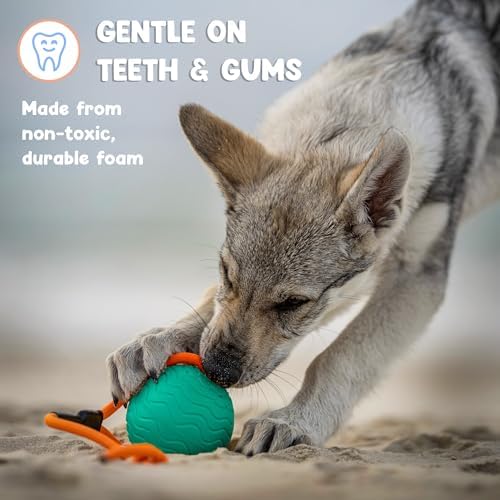 Dog Ball Toy with Rope, Durable EVA Foam Floating Dog Toy, Interactive Fetch & Toss n’ Train Tug Ball for Dogs, Bouncy Pet Ball for Outdoor Indoor Play - Green, Large