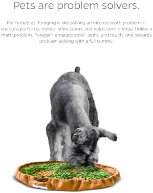 PET Parents Forager Snuffle MAT and Slow Feeder Dog Bowl, Meadow Natural