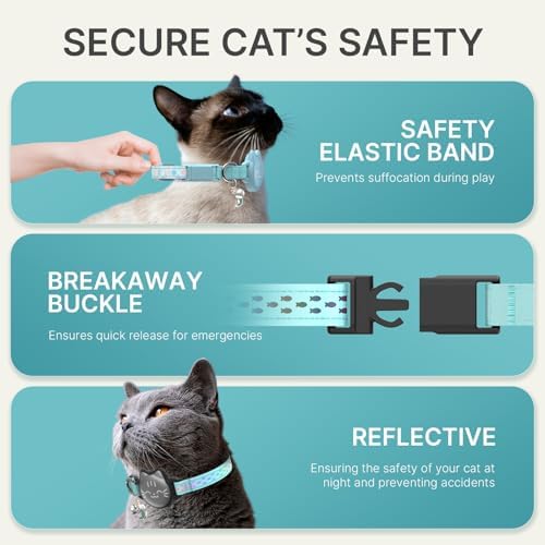 AirTag Cat Collar, Reflective Breakaway Collar, Hidden Holder with Bell | Compatible with Apple AirTag 1st & 2nd Gen, Lightweight Water-Resistant Strap for Cats, AirTag Not Included