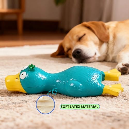 6.7" Squeaky Latex Dog Toy gripping, Cute Little Chicken Rubber Toy for Chewing and Grinding Teeth Interactive Play for Small Medium Dogs -(1Pcs Blue)