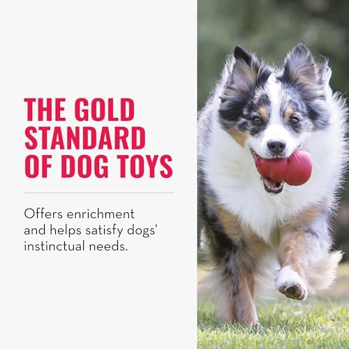 KONG Classic Stuffable Dog Toy, Natural Rubber Chew, for XX-Large Dogs | Treat-Filling Fetch & Chew Toy with Erratic Bounce, Made from KONG Durable Natural Rubber for Extended Playtime