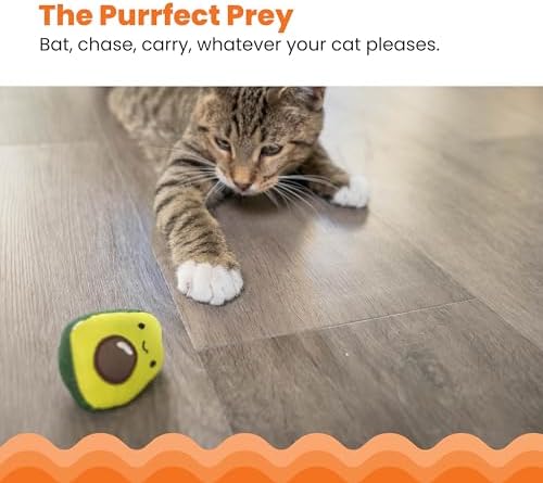 Catstages Lil' Avocato Cat Toy, Interactive Plush Avocado with Catnip, Kicker & Chew Toy for Indoor Cats, Encourages Active Play, Mental Stimulation, Dental Health, and Solo Fun, Green (Pack of 2)
