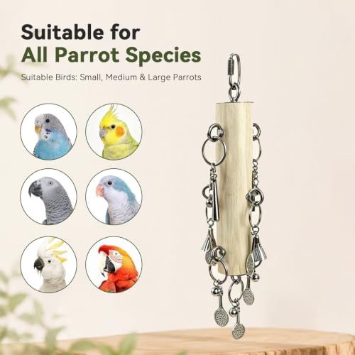 AOTU Stainless Steel Bird Toys for Cockatiels Natural Hardwood Parrot Toys for Large Birds Chew Toy for Macaw, Cockatoo African Greys Medium to Large Parrots Safe and Durable (Sports)