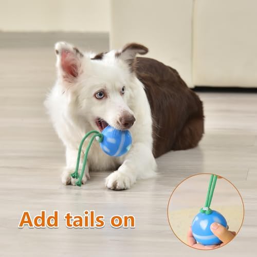 Salodal Interactive Dog Toys Ball, Motion Activated Rolling Dog Ball, Automatic Toy for Small/Medium Dogs,USB Rechargeable Dog Enrichment Toys to Keep Them Busy