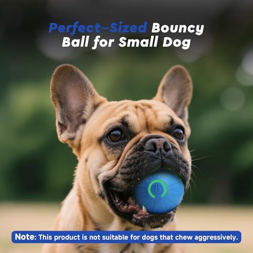 Interactive Small Dog Toy Ball, 2 Inch Smart Jumping Ball for Puppy/Small Dogs, Activated Automatic Bouncing Moving Vibrating, Dog Toy for Small Dogs to Keep Them Busy（Sky Blue）
