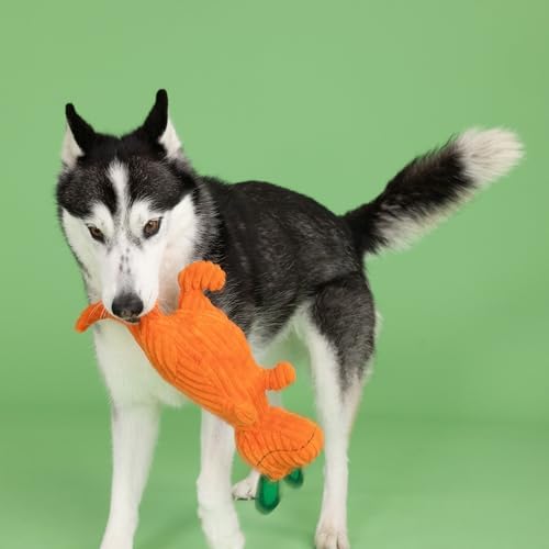 Fringe Studio Plush Dog Toy, Carrot ‘Bout You, Petshop Collection (314305)