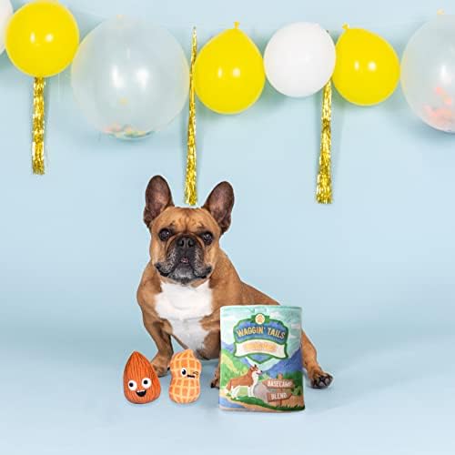 Fringe Studio Hide & Seek Plush Burrow Dog Toy Set, WAGGIN Tail Trail Mix(289212), Multicolored