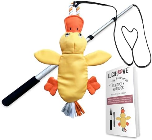 Flirt Pole for Dogs Heavy Duty 35 Inch Teaser Wand with Duck Toy