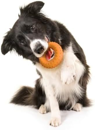 Playology Dual Layer Ring Dog Toy for Aggressive Chewers, Cheddar Scent
