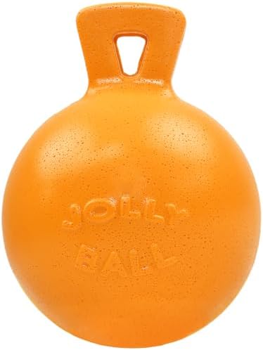Jolly Pets Tug-n-Toss - Heavy Duty Chew Ball w/ Handle (Orange, 6")