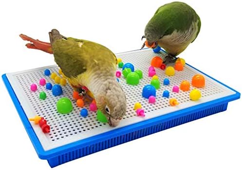 QBLEEV Parrot Puzzle Toys - Bird Intelligence Training, Parakeet & Conure Cage Accessories, Cockatiel Foraging & Chewing Toys