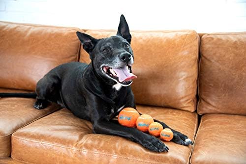 Outward Hound Squeaker Ballz Tennis Ball Dog Toy, Medium, 2.5", 6‑Pack