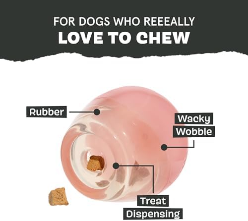 BarkBox Tipsy Rosé Dog Toy - Toy for Large Dogs