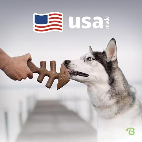 Benebone Tiny 2-Pack Fishbone Durable Dog Chew Toys, Real Fish