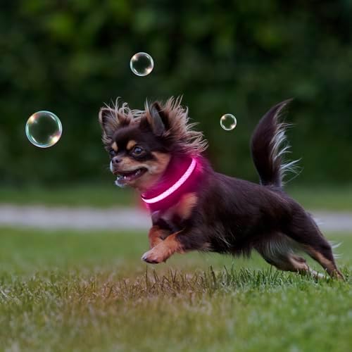 Flashseen LED Dog Collar, Light Up Dog Collar USB Rechargeable, Pink, XS