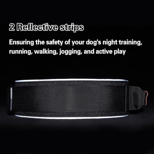 2" Tactical Dog Collar with Airtag Holder & Handle for Medium Dogs (Black)